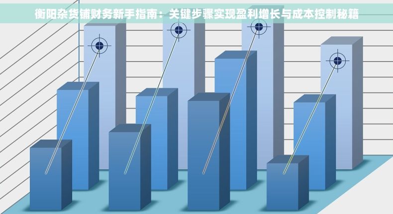 衡阳杂货铺财务新手指南：关键步骤实现盈利增长与成本控制秘籍
