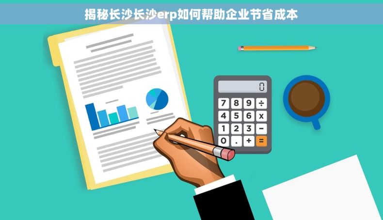 揭秘长沙长沙erp如何帮助企业节省成本