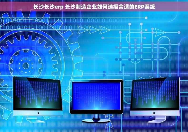 长沙长沙erp 长沙制造企业如何选择合适的ERP系统