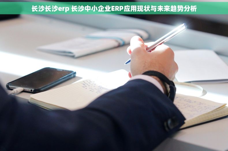 长沙长沙erp 长沙中小企业ERP应用现状与未来趋势分析