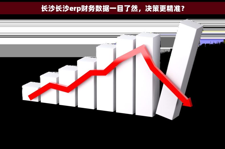 长沙长沙erp财务数据一目了然，决策更精准？
