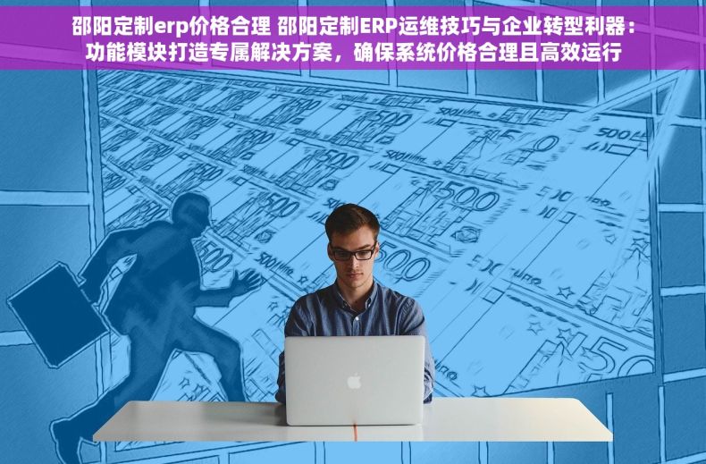 邵阳定制erp价格合理 邵阳定制ERP运维技巧与企业转型利器：功能模块打造专属解决方案，确保系统价格合理且高效运行