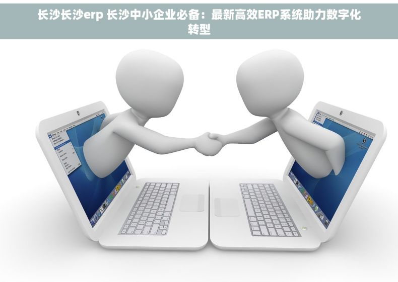 长沙长沙erp 长沙中小企业必备：最新高效ERP系统助力数字化转型