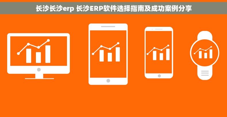 长沙长沙erp 长沙ERP软件选择指南及成功案例分享