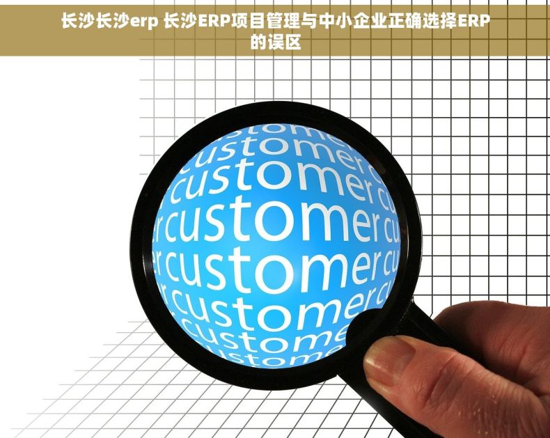长沙长沙erp 长沙ERP项目管理与中小企业正确选择ERP的误区