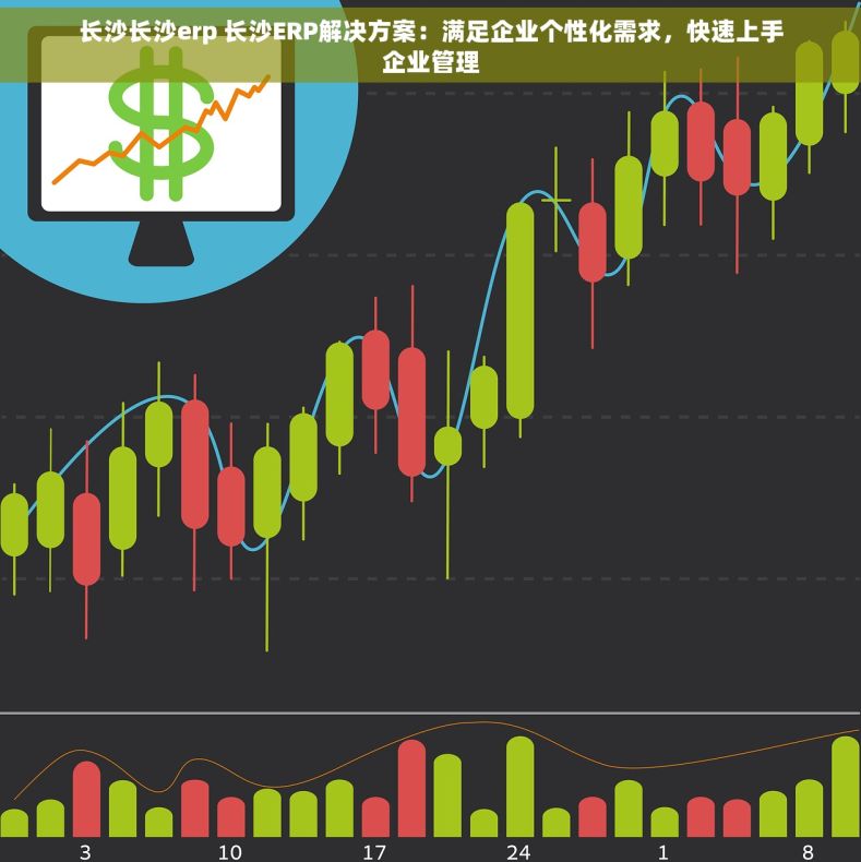长沙长沙erp 长沙ERP解决方案：满足企业个性化需求，快速上手企业管理