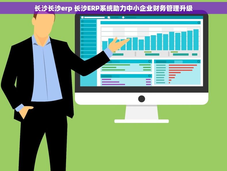 长沙长沙erp 长沙ERP系统助力中小企业财务管理升级