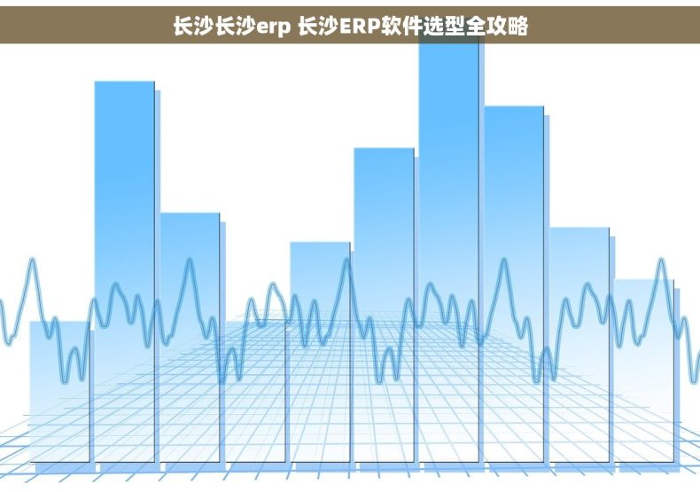 长沙长沙erp 长沙ERP软件选型全攻略