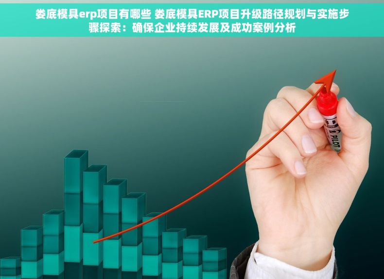 娄底模具erp项目有哪些 娄底模具ERP项目升级路径规划与实施步骤探索：确保企业持续发展及成功案例分析