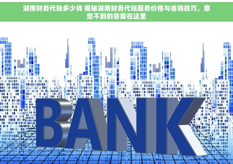 湖南财务代账多少钱 揭秘湖南财务代账服务价格与省钱技巧，意想不到的答案在这里