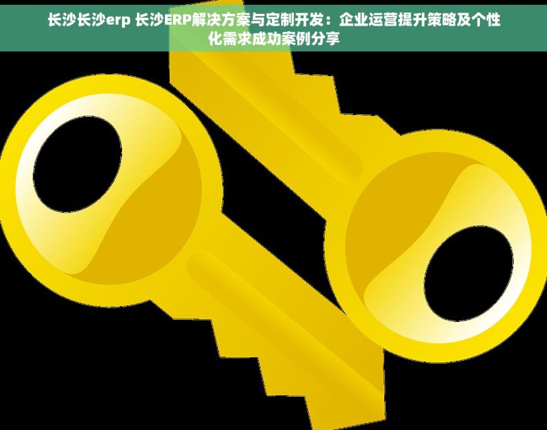 长沙长沙erp 长沙ERP解决方案与定制开发：企业运营提升策略及个性化需求成功案例分享