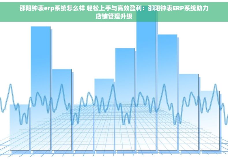 邵阳钟表erp系统怎么样 轻松上手与高效盈利：邵阳钟表ERP系统助力店铺管理升级