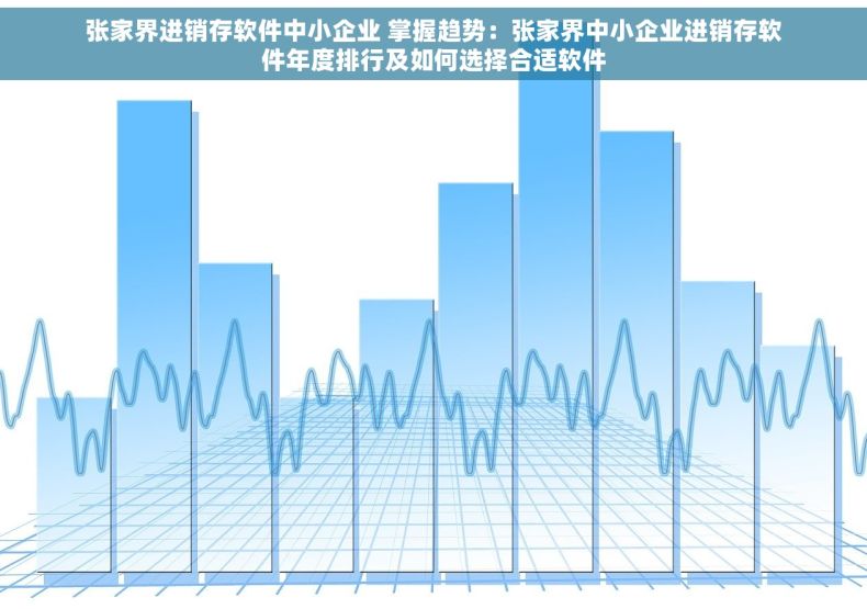 张家界进销存软件中小企业 掌握趋势：张家界中小企业进销存软件年度排行及如何选择合适软件