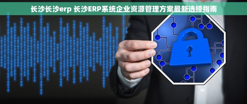 长沙长沙erp 长沙ERP系统企业资源管理方案最新选择指南
