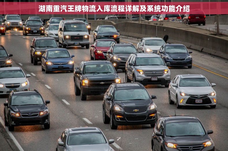 湖南重汽王牌物流入库流程详解及系统功能介绍