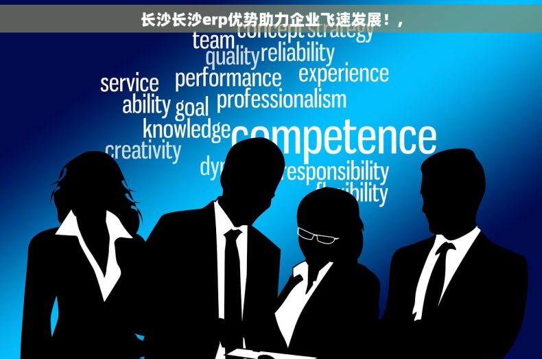 长沙长沙erp优势助力企业飞速发展！,