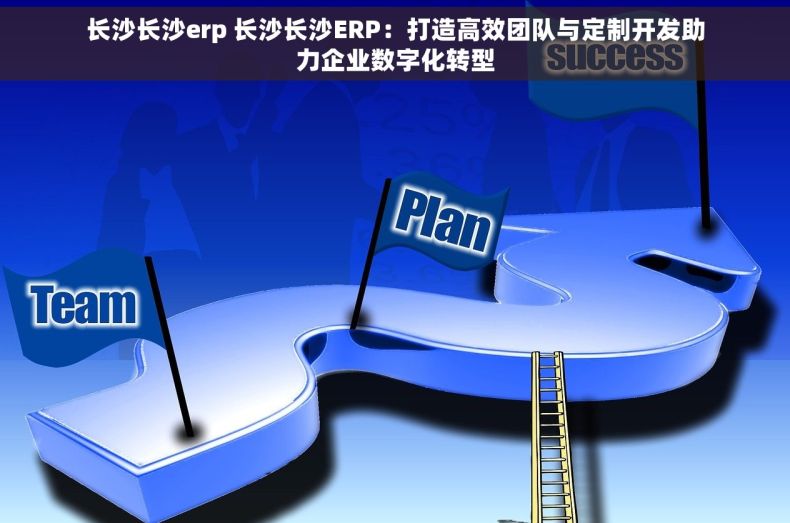 长沙长沙erp 长沙长沙ERP：打造高效团队与定制开发助力企业数字化转型