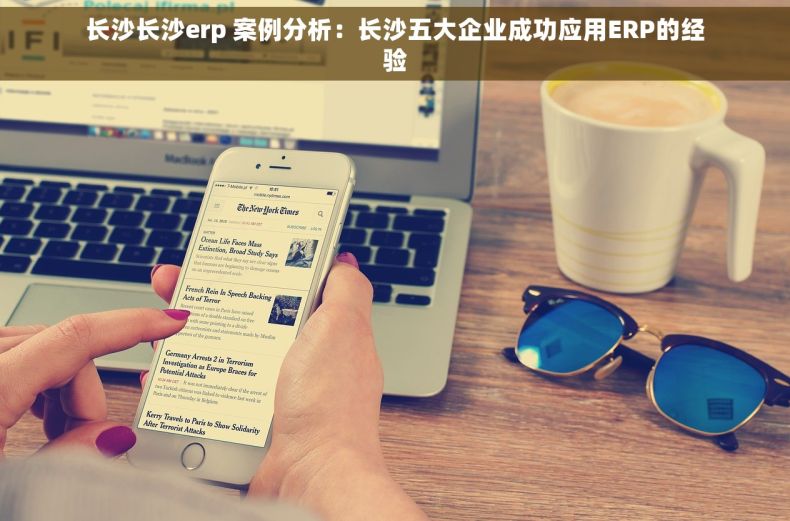 长沙长沙erp 案例分析：长沙五大企业成功应用ERP的经验