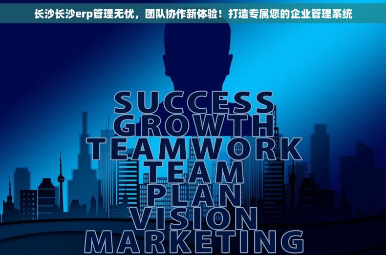 长沙长沙erp管理无忧，团队协作新体验！打造专属您的企业管理系统