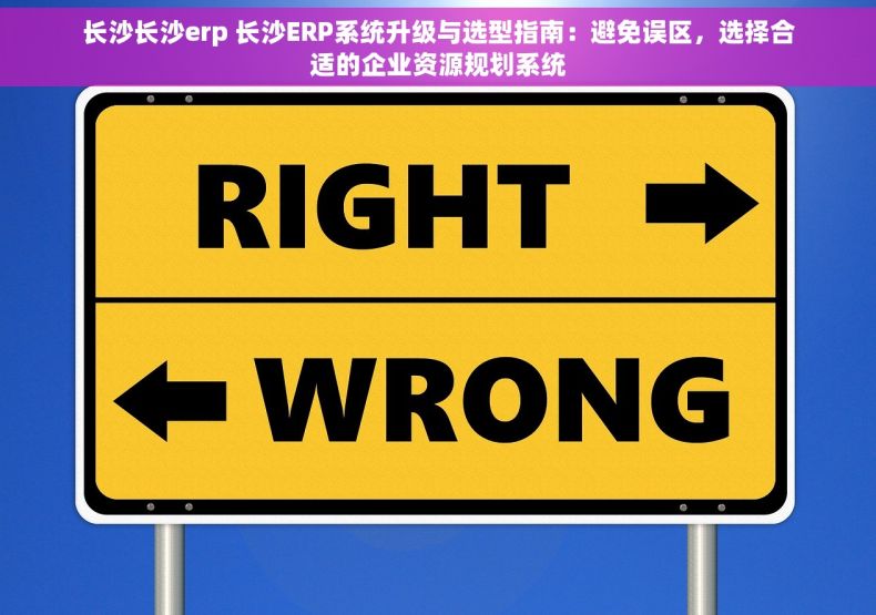 长沙长沙erp 长沙ERP系统升级与选型指南：避免误区，选择合适的企业资源规划系统