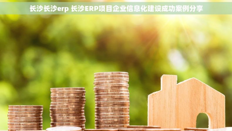 长沙长沙erp 长沙ERP项目企业信息化建设成功案例分享