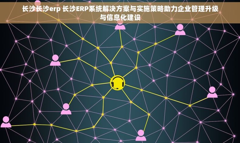 长沙长沙erp 长沙ERP系统解决方案与实施策略助力企业管理升级与信息化建设