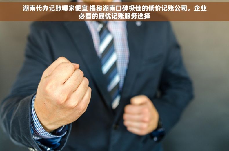湖南代办记账哪家便宜 揭秘湖南口碑极佳的低价记账公司，企业必看的最优记账服务选择