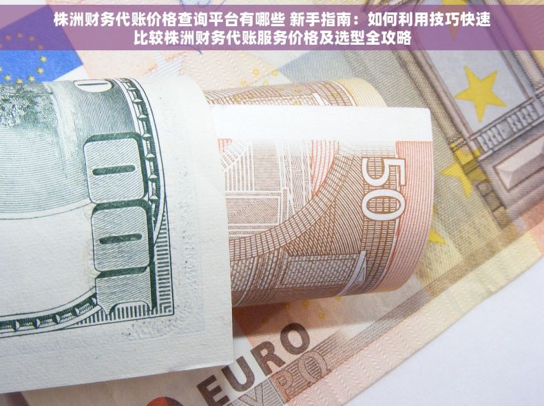 株洲财务代账价格查询平台有哪些 新手指南：如何利用技巧快速比较株洲财务代账服务价格及选型全攻略