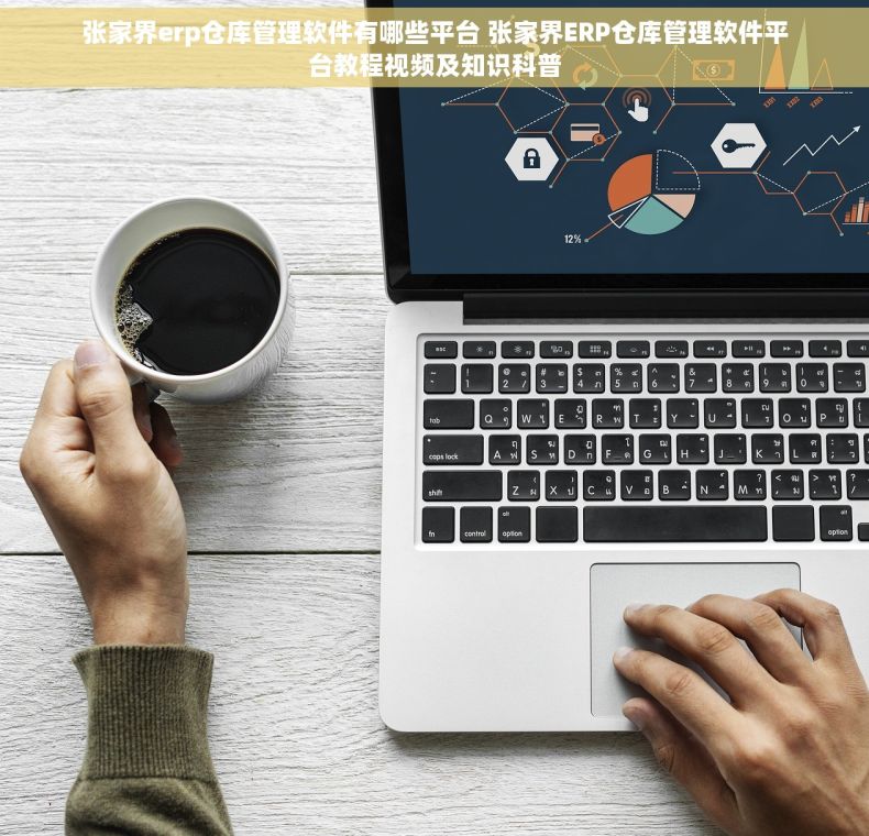 张家界erp仓库管理软件有哪些平台 张家界ERP仓库管理软件平台教程视频及知识科普
