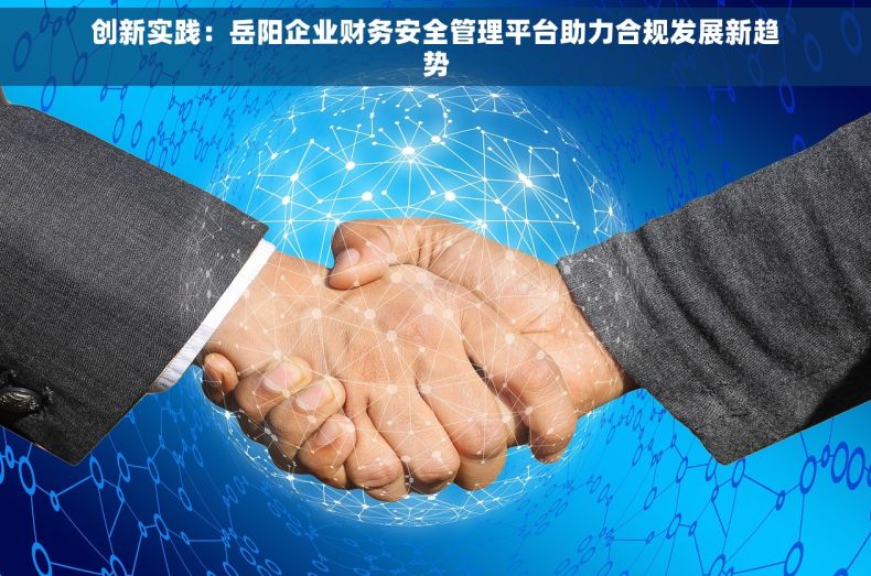创新实践：岳阳企业财务安全管理平台助力合规发展新趋势