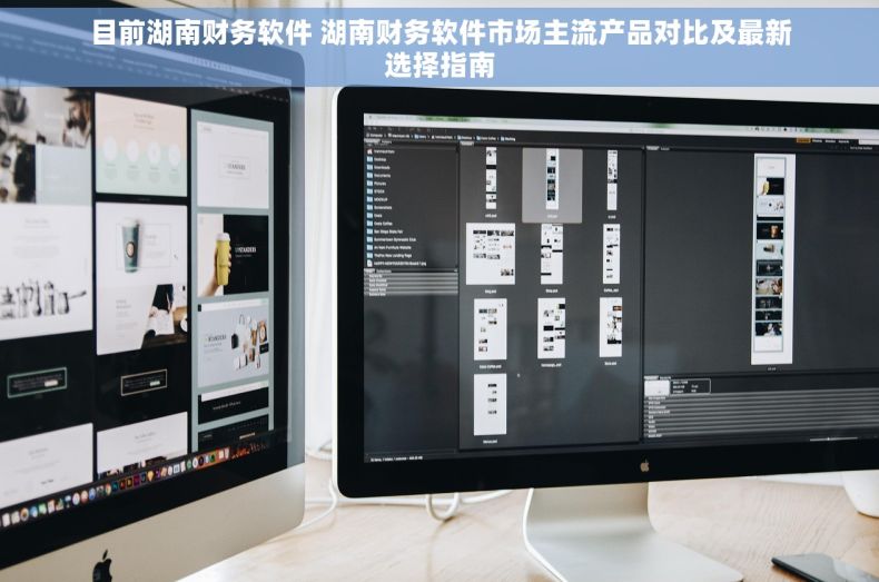 目前湖南财务软件 湖南财务软件市场主流产品对比及最新选择指南