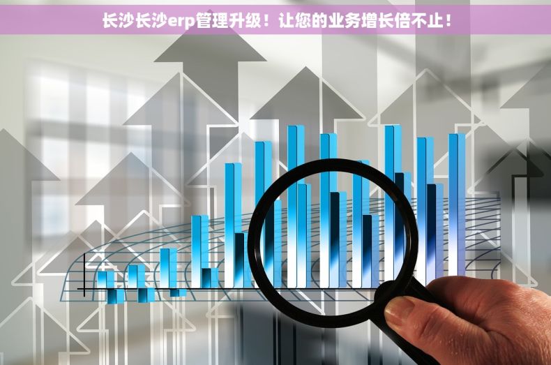 长沙长沙erp管理升级！让您的业务增长倍不止！