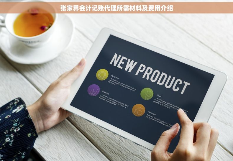 张家界会计记账代理所需材料及费用介绍