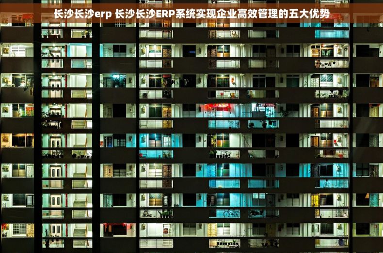 长沙长沙erp 长沙长沙ERP系统实现企业高效管理的五大优势
