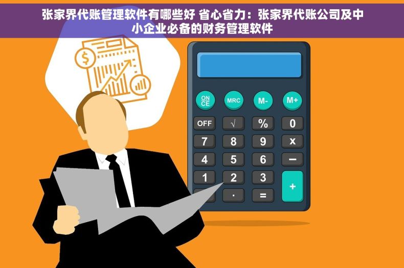 张家界代账管理软件有哪些好 省心省力：张家界代账公司及中小企业必备的财务管理软件