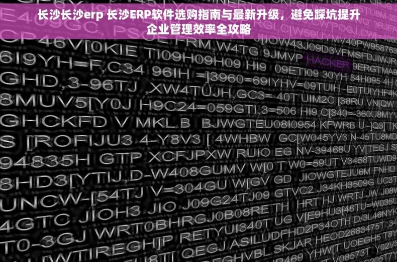 长沙长沙erp 长沙ERP软件选购指南与最新升级，避免踩坑提升企业管理效率全攻略