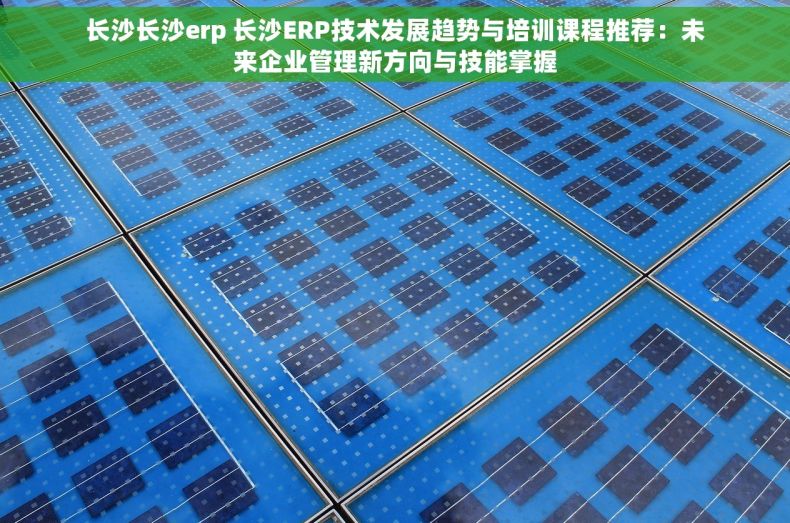 长沙长沙erp 长沙ERP技术发展趋势与培训课程推荐：未来企业管理新方向与技能掌握