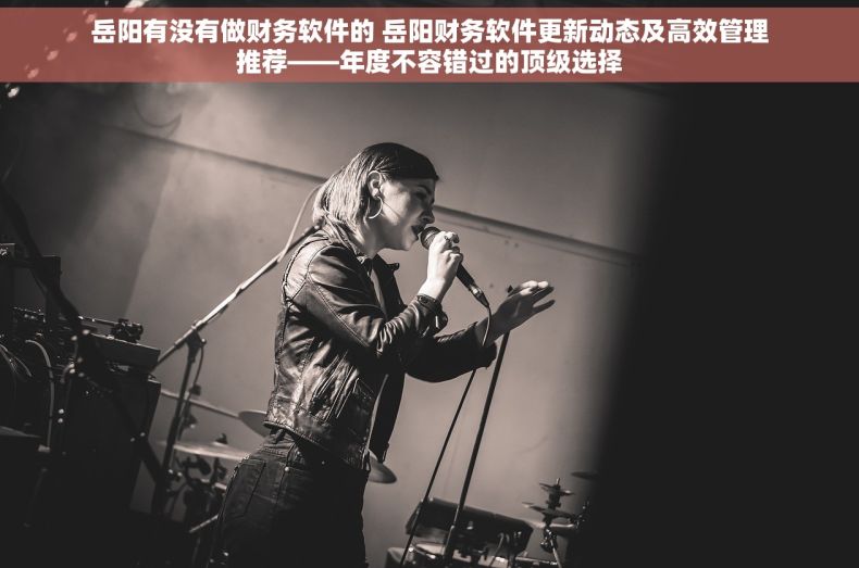 岳阳有没有做财务软件的 岳阳财务软件更新动态及高效管理推荐——年度不容错过的顶级选择