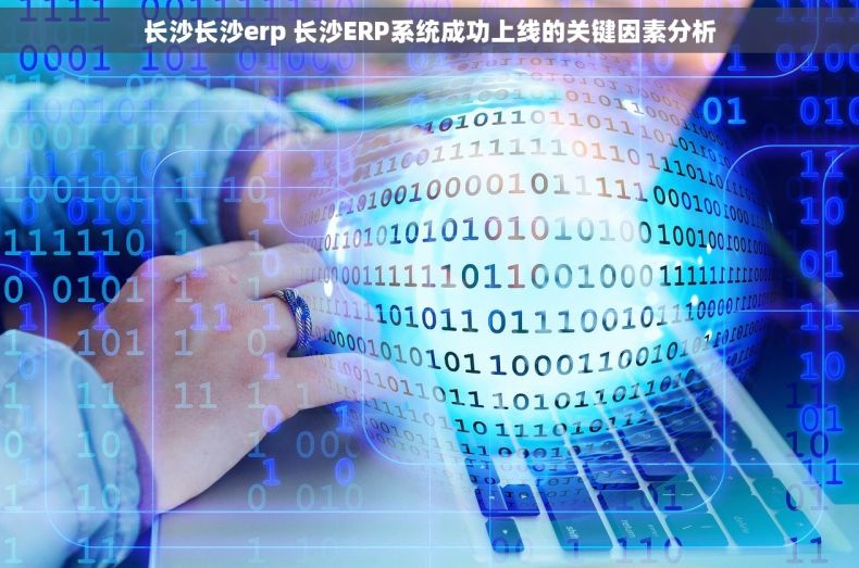 长沙长沙erp 长沙ERP系统成功上线的关键因素分析