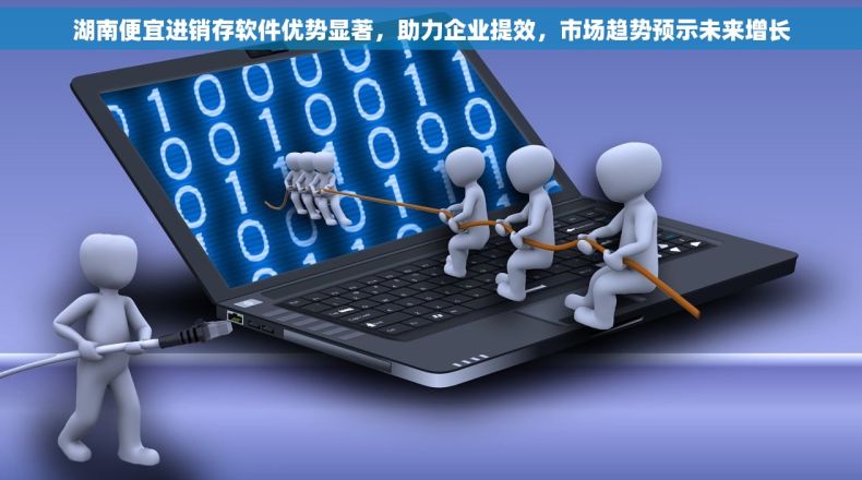 湖南便宜进销存软件优势显著，助力企业提效，市场趋势预示未来增长