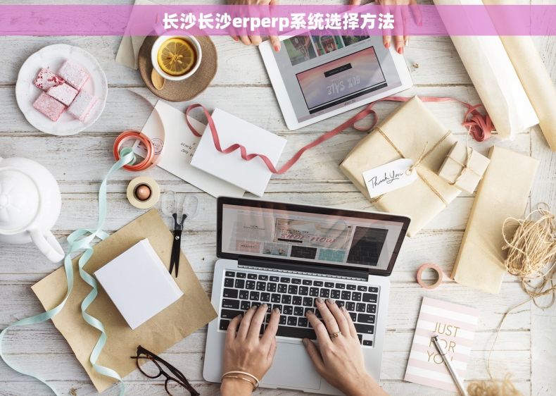 长沙长沙erperp系统选择方法