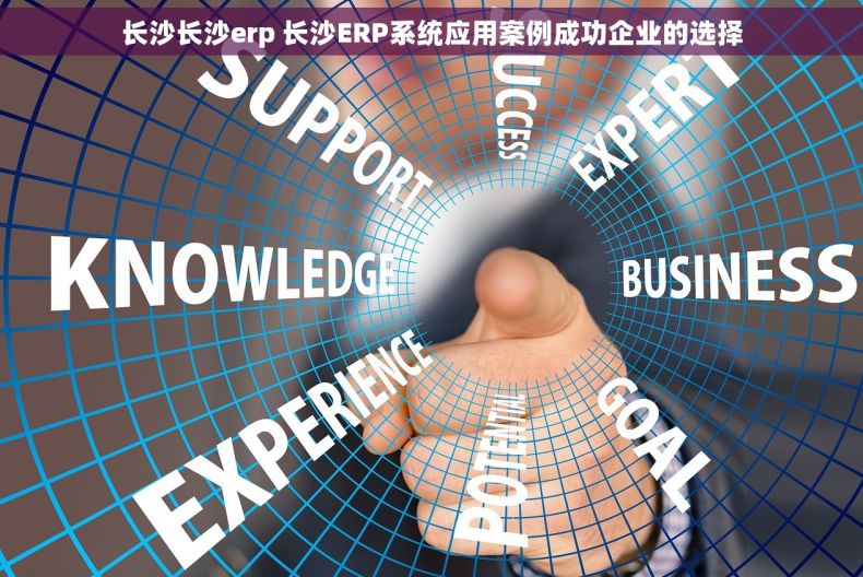 长沙长沙erp 长沙ERP系统应用案例成功企业的选择