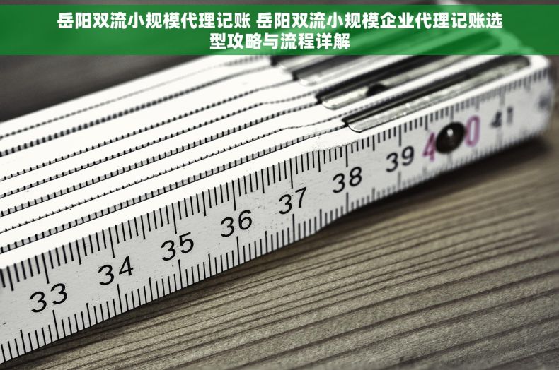 岳阳双流小规模代理记账 岳阳双流小规模企业代理记账选型攻略与流程详解