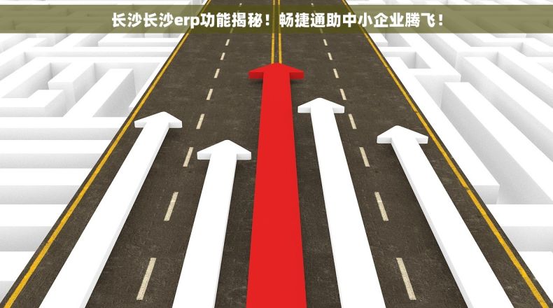 长沙长沙erp功能揭秘！畅捷通助中小企业腾飞！