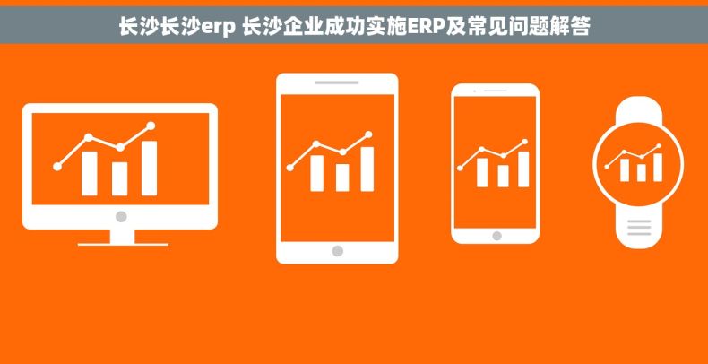 长沙长沙erp 长沙企业成功实施ERP及常见问题解答