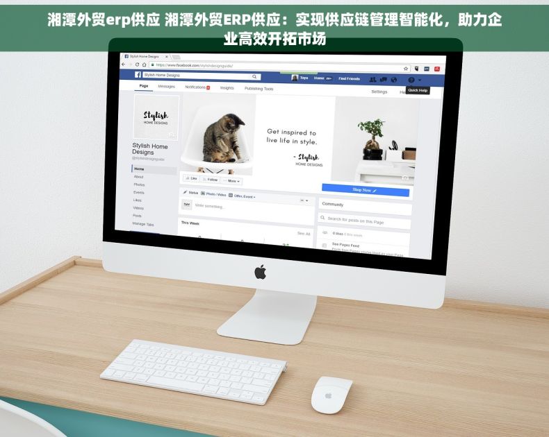 湘潭外贸erp供应 湘潭外贸ERP供应：实现供应链管理智能化，助力企业高效开拓市场