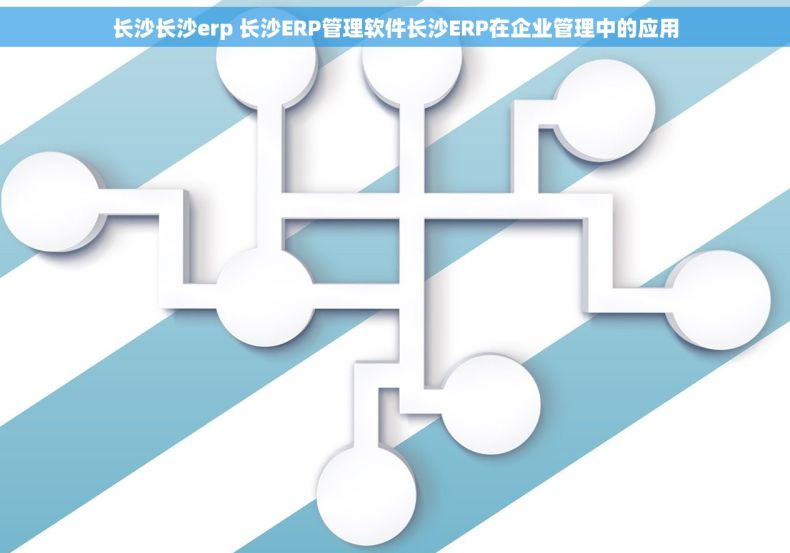 长沙长沙erp 长沙ERP管理软件长沙ERP在企业管理中的应用