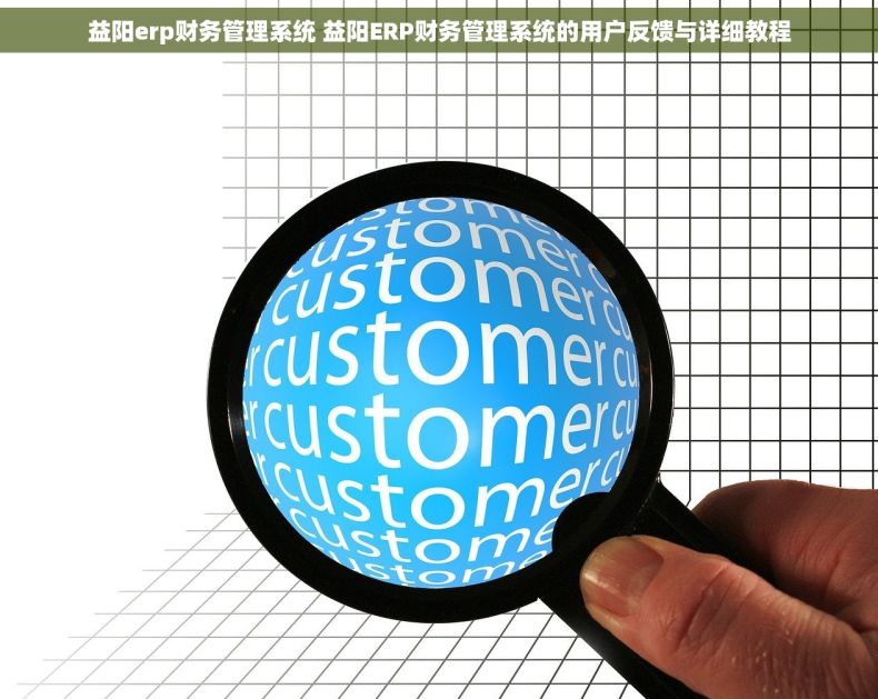 益阳erp财务管理系统 益阳ERP财务管理系统的用户反馈与详细教程