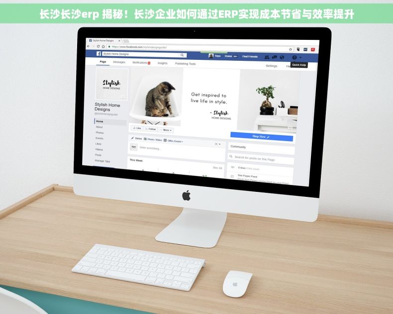 长沙长沙erp 揭秘！长沙企业如何通过ERP实现成本节省与效率提升