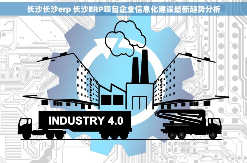 长沙长沙erp 长沙ERP项目企业信息化建设最新趋势分析